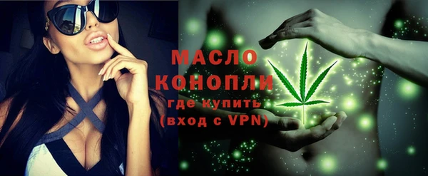 дживик Бронницы