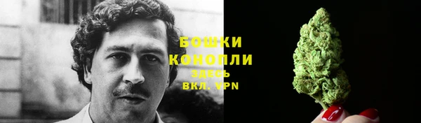 дживик Бронницы