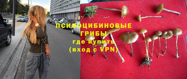 mix Бородино