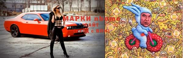 дживик Богородицк