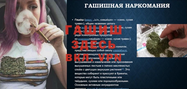 mix Бородино