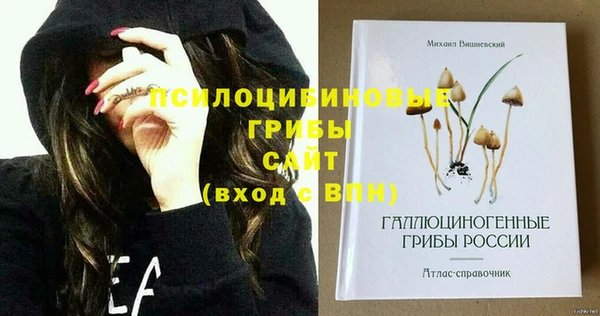 apvp Бугульма