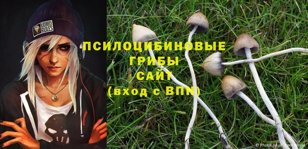 apvp Бугульма